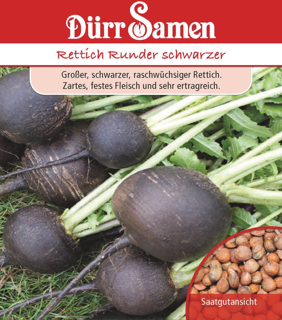 Rettich Runder schwarzer | Rettichsamen von Dürr Samen