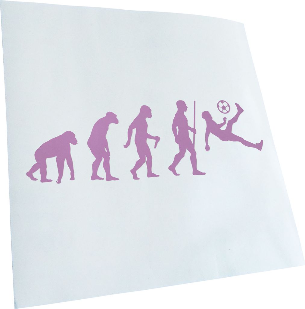 Kiwistar - Autoaufkleber - Evolution Fussballer Spieler - Pink - 20x6cm - Aufkleber für Auto, Laptop, Fahrrad, LKW, Motorrad mehrfarbig JDM Decal ...