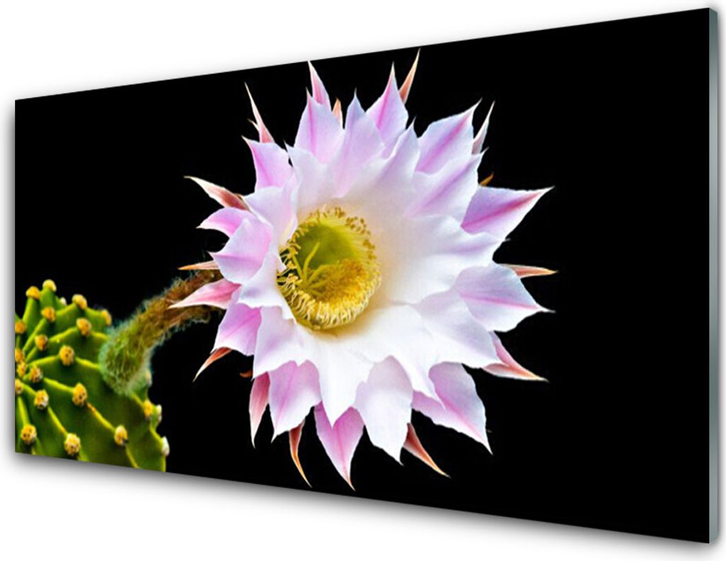 Acrylglasbilder 100x50 Wandbild Druck Blume Pflanzen