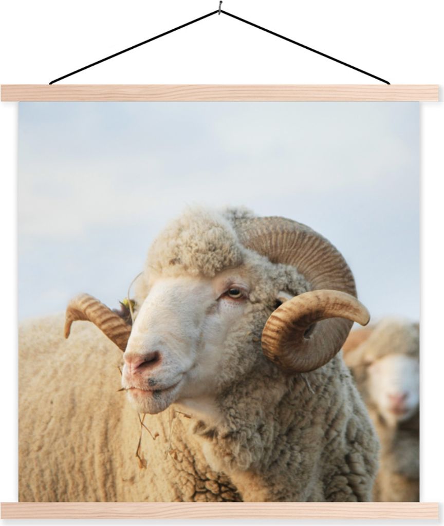 MuchoWow Textilposter Schafe - Widder - Hörner 120x120 cm mit holzfarbenen Rahmen - Textil-Poster