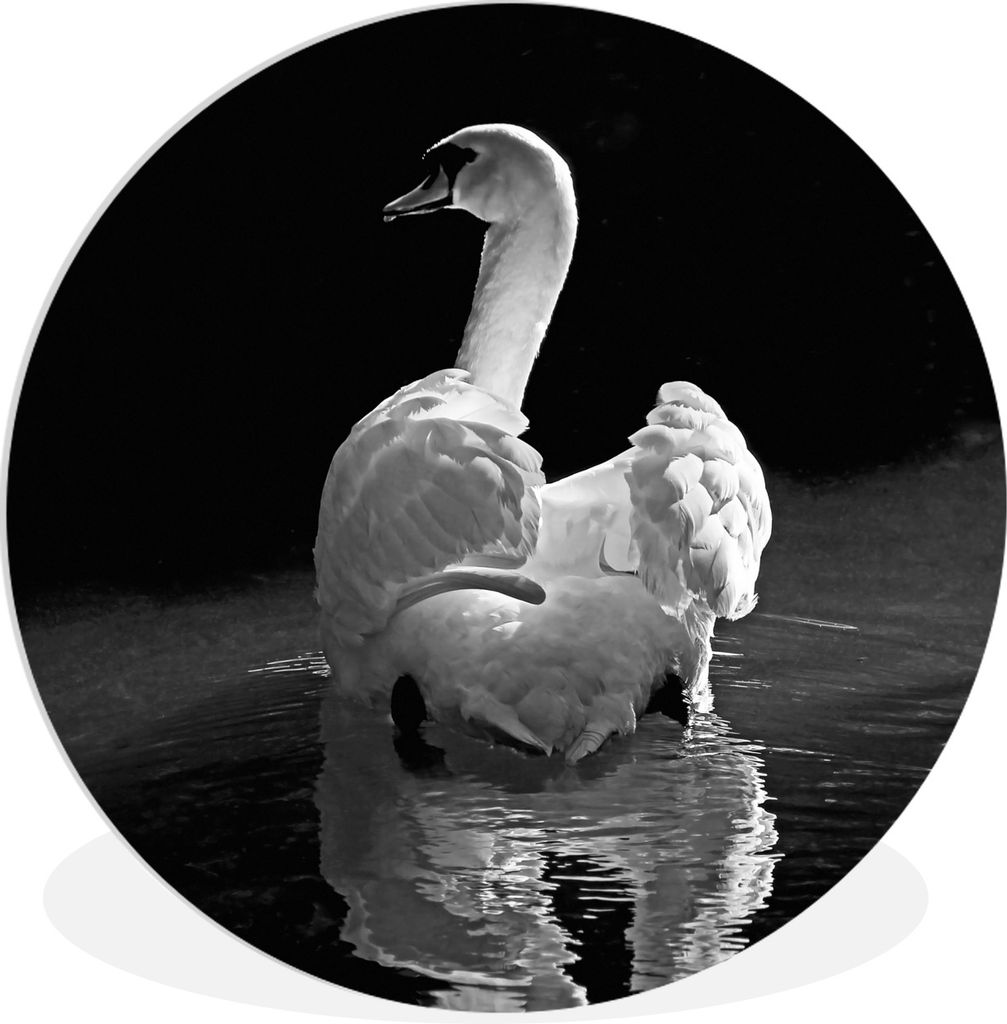 MuchoWow Rundes Wandbild - Runde Bilder Weißer Schwan Ø 30 cm Kreis Wanddekoration Kunststoff - Wandkreis - Wandschmuck - Schlafzimmer - Bilder...