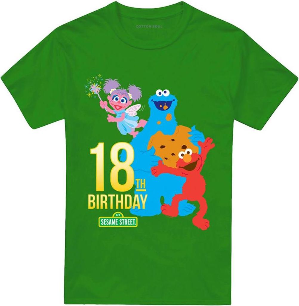 Sesame Street - T-Shirt für Herren/Damen Uni, 18. Geburtstag TV21495 (XXL) (Irisches Grün)