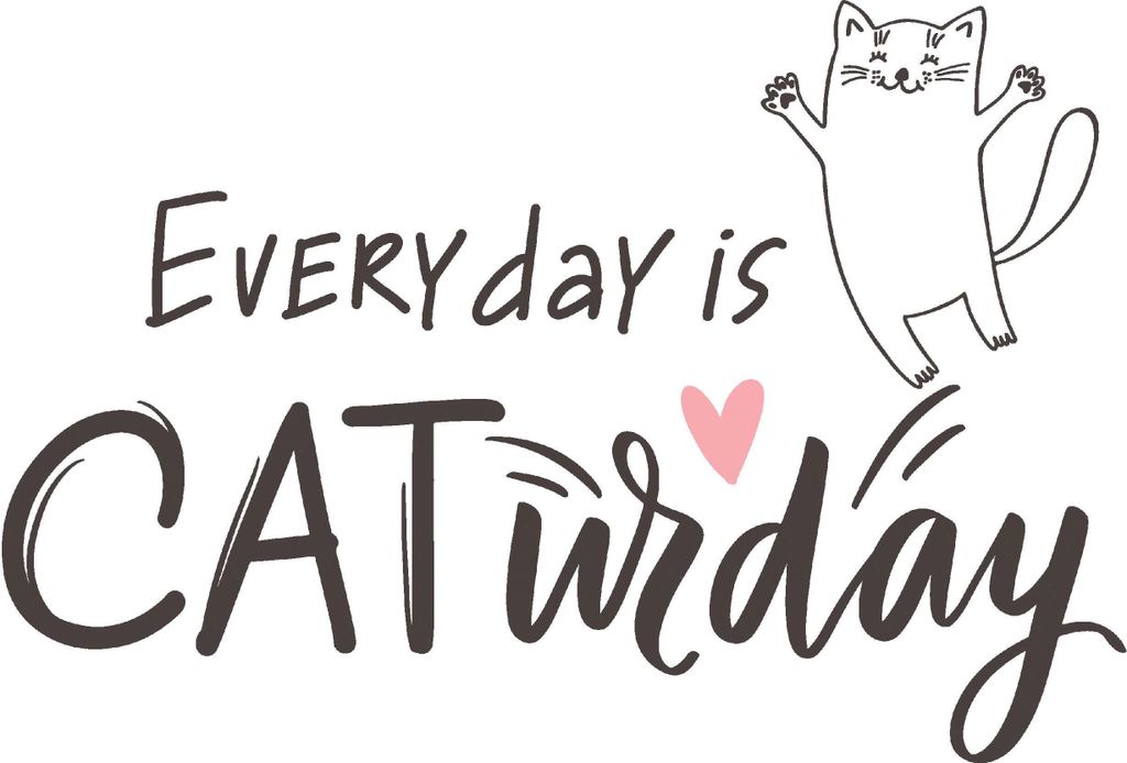 20 Servietten Caturday - Katzentag 33x33cm