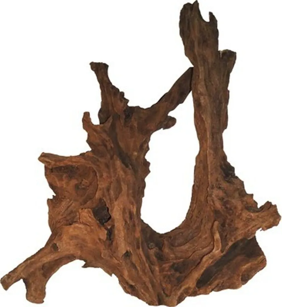 Décoration en Bois de Mangrove Naturel 35-60 cm pour Grand Aquarium
