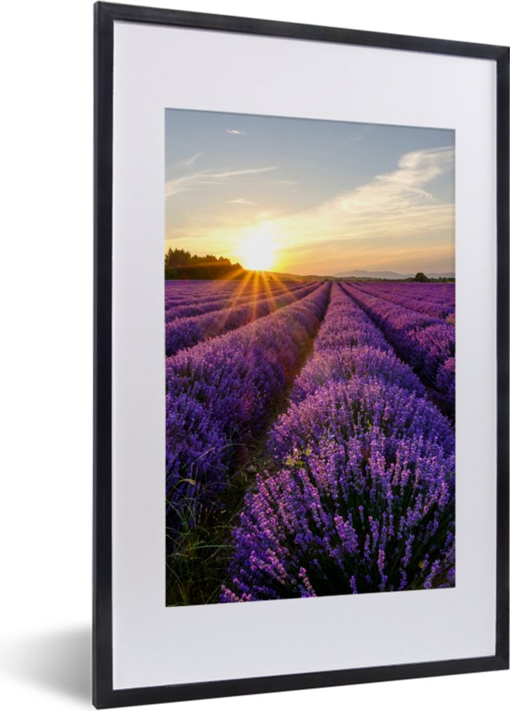 MuchoWow Gerahmtes Poster Lavendel - Blumen - Sonnenuntergang - Lila 40x60 cm - Poster mit Schwarzem Bilderrahmen Wandposter Rahmen Foto Bilder -...