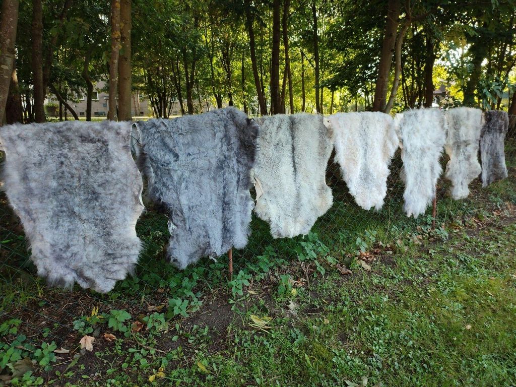 Nordschnucken Schaffell – Naturgrau, 2. Wahl, echtes Fell, eher kurz (2cm - 5cm) 110-120cm lang