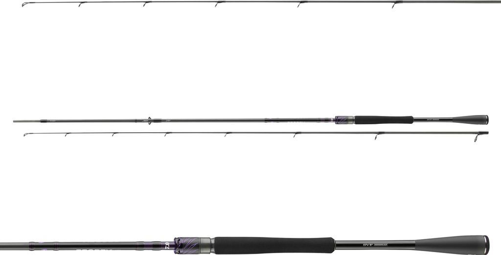 Daiwa Prorex AGS 2.50m 28-70g Spinnrute