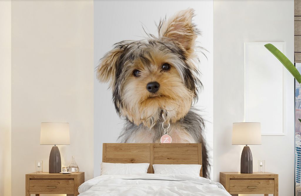 MuchoWow Fototapete für Wohnzimmer oder Schlafzimmer Wandtapete Vinyl Motivtapete Porträt eines Yorkshire-Terriers - 120x240 cm - Hintergrundbild