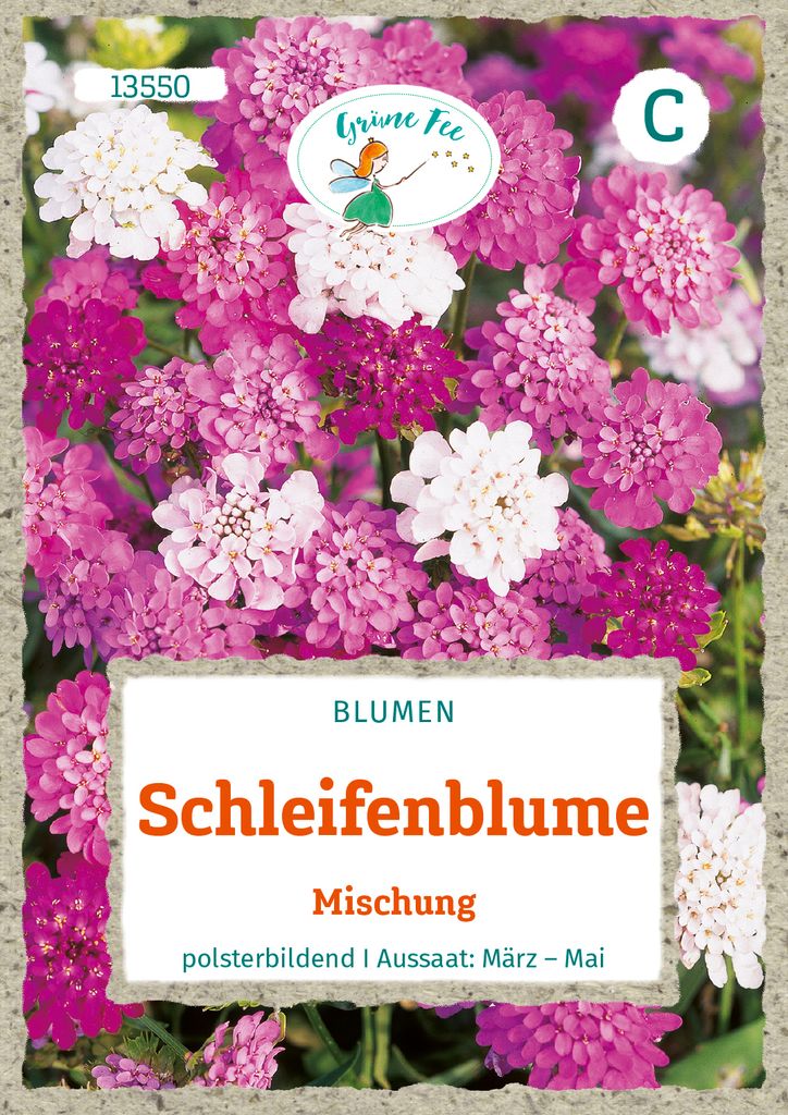 Grüne Fee - Schleifenblume Mischung Samen - 13550