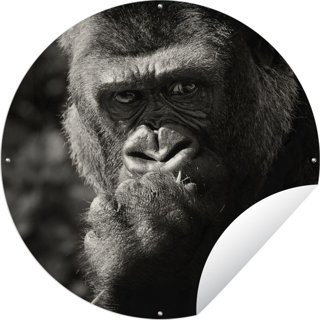 MuchoWow Gartenposter Outdoor-Poster Rund Gorilla auf schwarzem Hintergrund in Schwarz und Weiß Ø 90 cm Gartendeko Rundes Poster draußen
