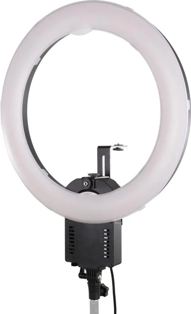 Éclairage Studio Portrait Falcon Eyes FLC-65 65W avec Support Appareil