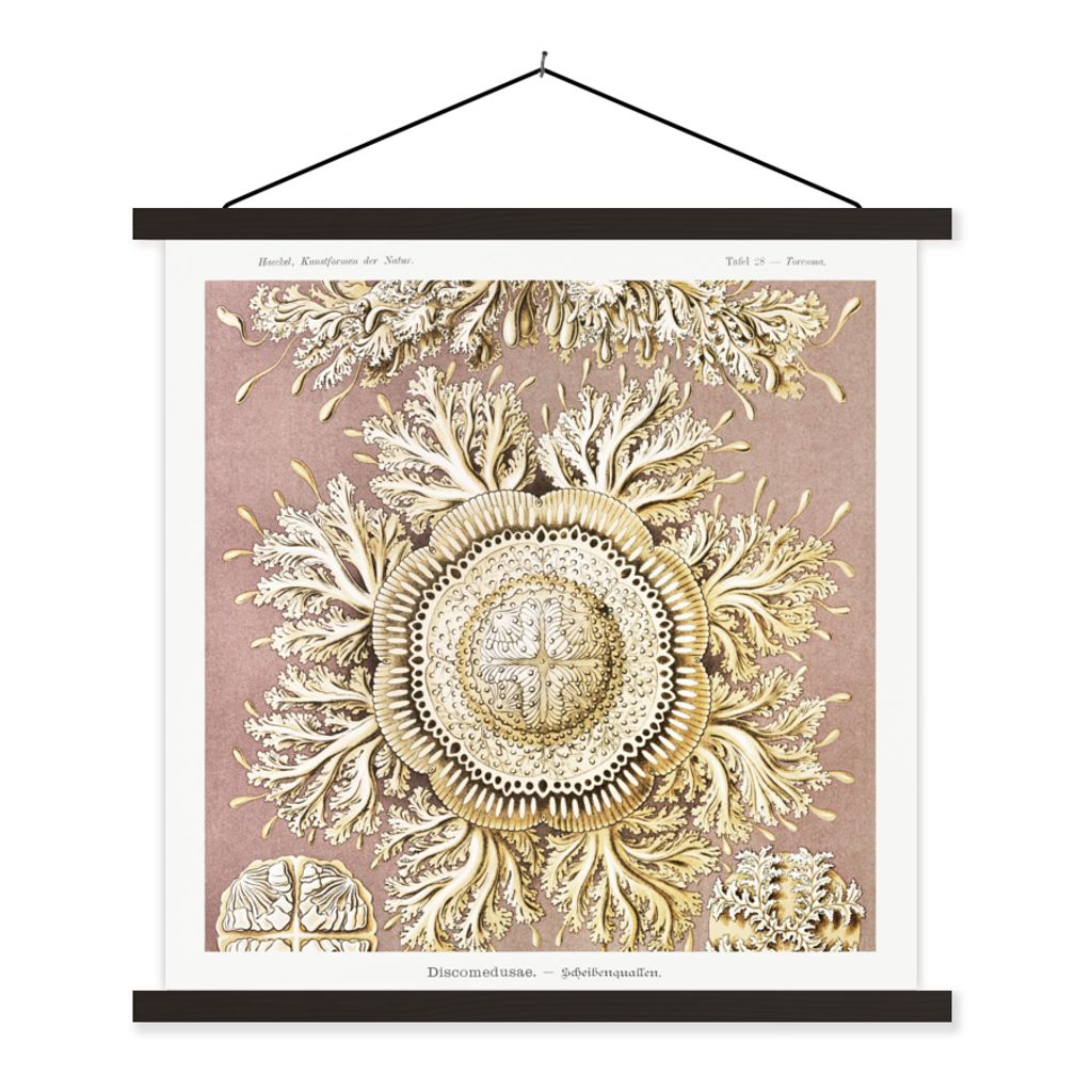 MuchoWow Textilposter Jahrgang - Ernst Haeckel - Qualle - Kunst 60x60 cm mit schwarzem Rahmen - Posteraufhänger