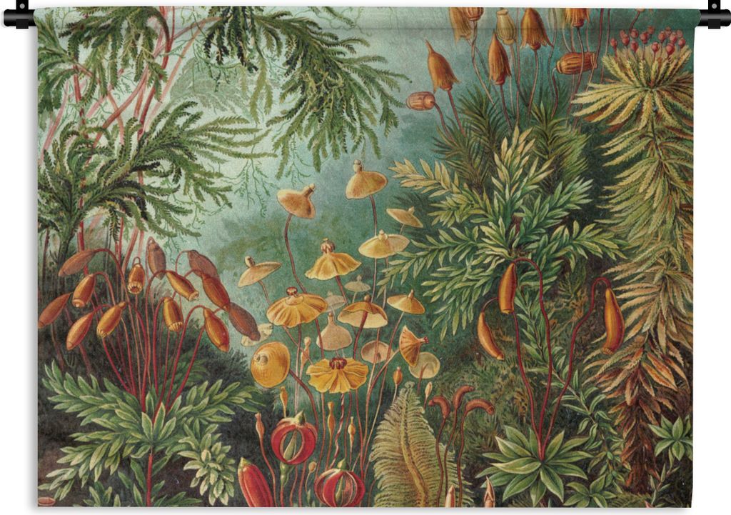 MuchoWow Wandteppich Wandbehang Alte Meister - Kunst - Muscinae - Haeckel 90x67.5 cm Tapisserie Dekoration Wandtuch - Fototeppich - Wand-Skulpturen