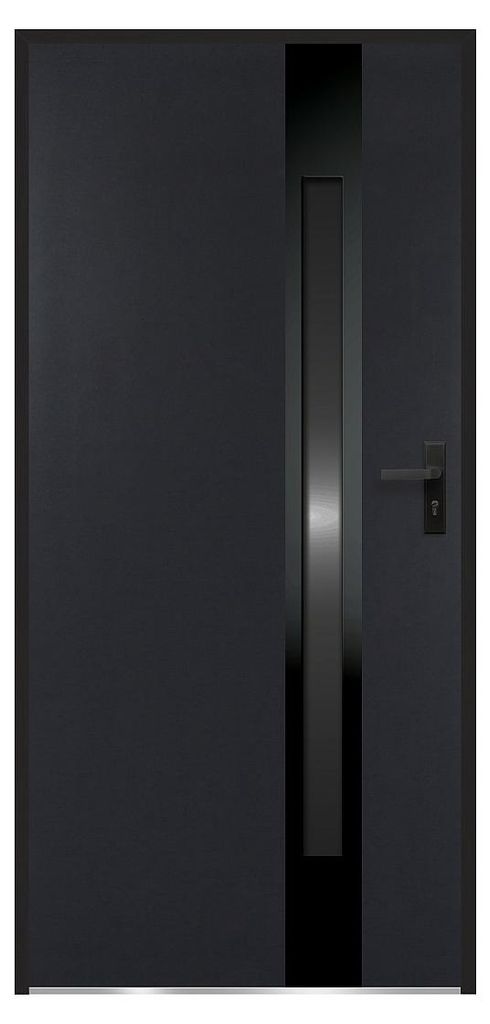 Stahl-Volltür und Edelstahl-Tür, Höhe 207 x Breite 100 cm – Produktbild 
