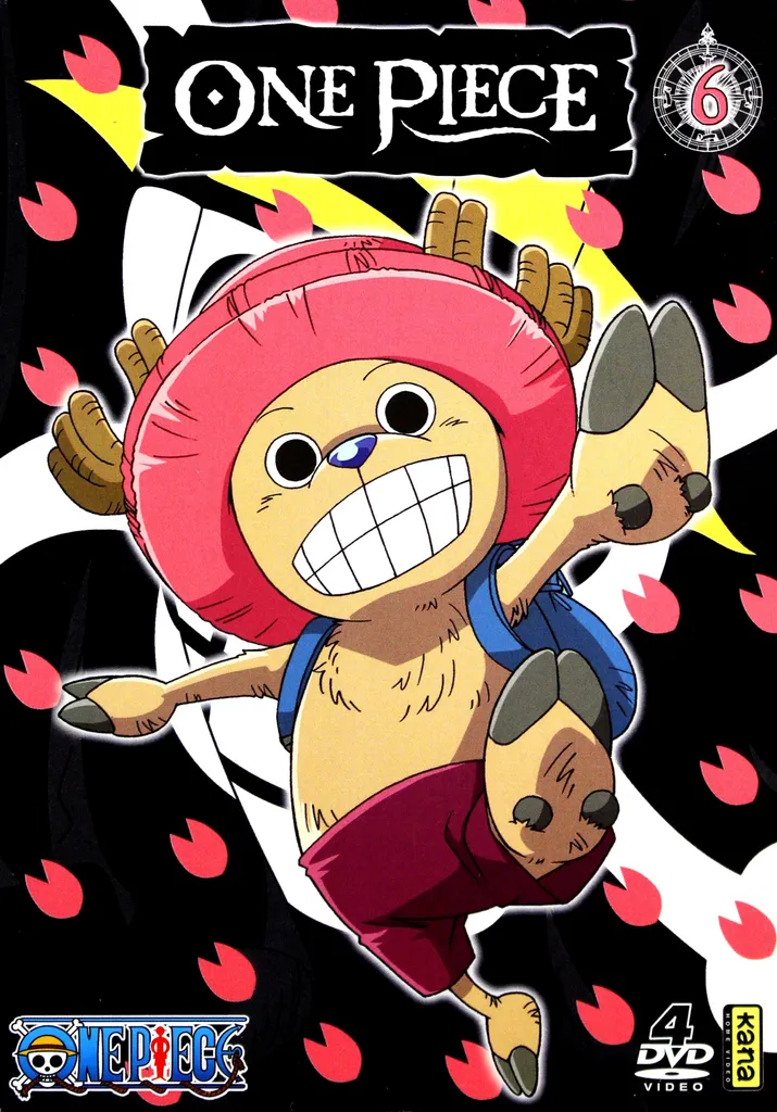 Coffret 4 DVD One Piece en Version Originale pour les fans d'animation