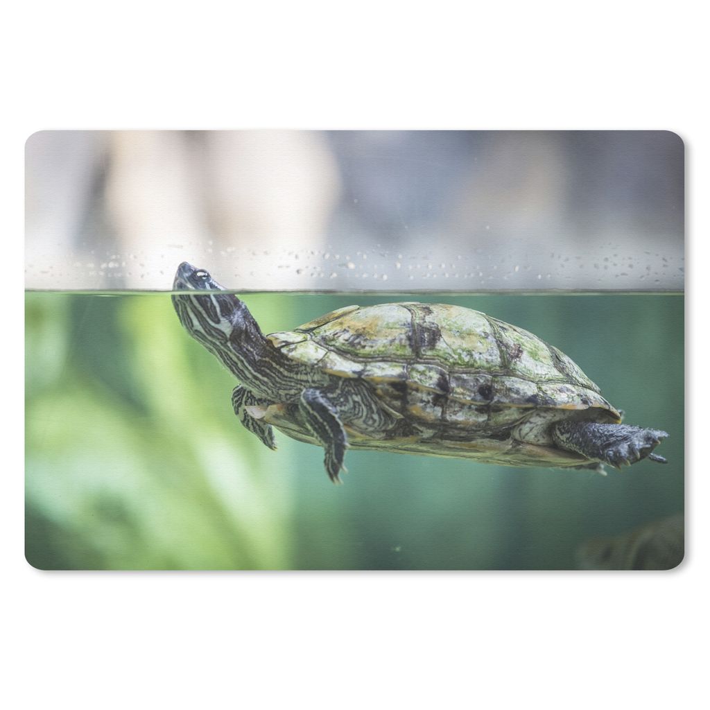 MuchoWow Mauspad Mousepad Nahaufnahme einer Schildkröte 27x18 cm - Mousepads - Maus Mat - Pad - Mausunterlage - Büroartikel - Desk Matten