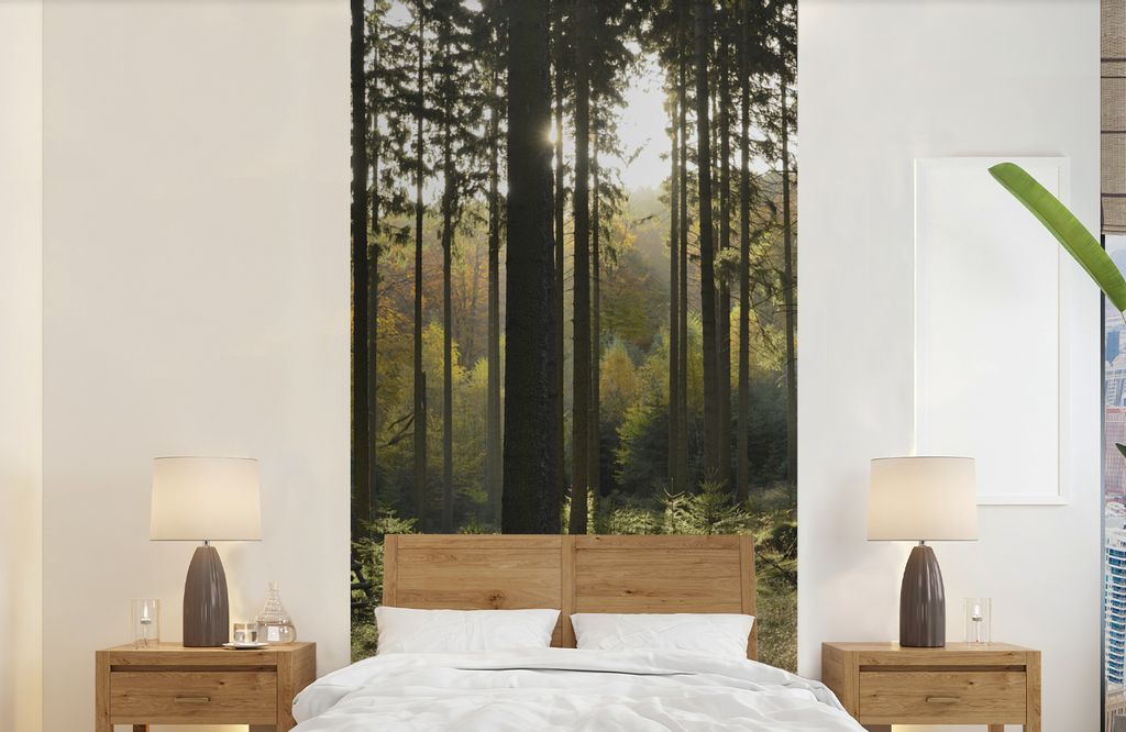 MuchoWow Fototapete für Wohnzimmer oder Schlafzimmer Wandtapete Vinyl Motivtapete Wald - Sommer - Sonne - 120x240 cm - Hintergrundbild