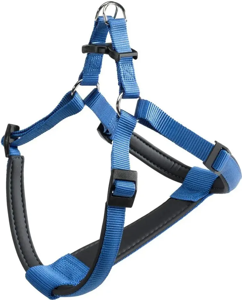 Ferplast Daytona P S Blu | Imbracatura Imbottita Nylon per Cani
