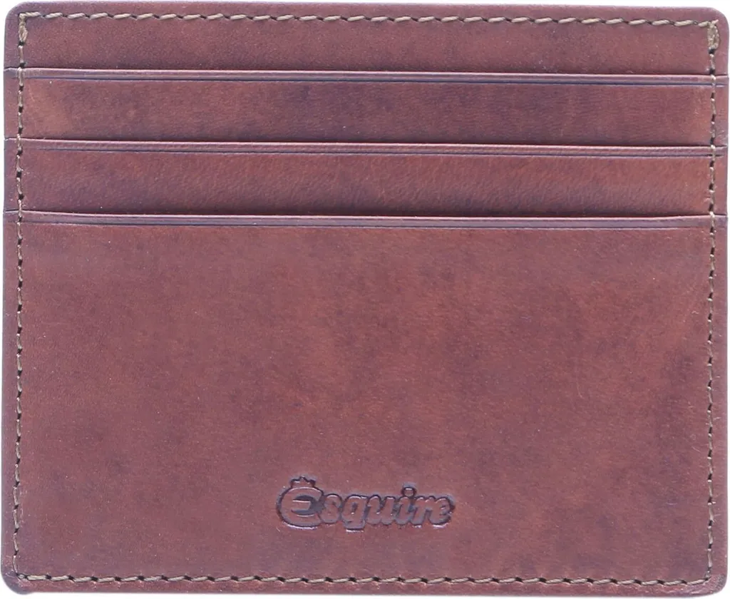 Esquire Oslo Dallas: Portacarte Uomo Pelle Marrone Elegante
