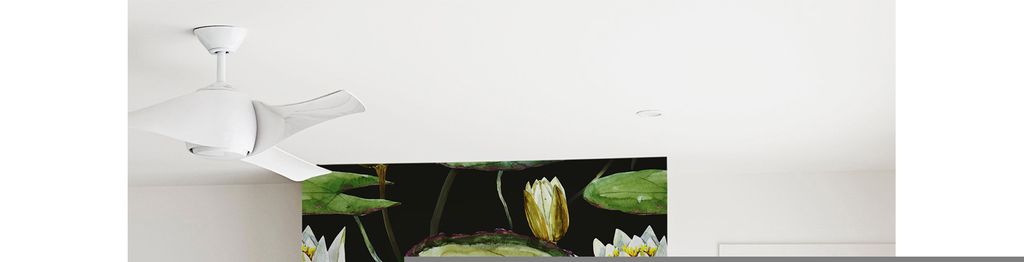 Coloray Fototapete 152x104 cm Latextapete Magicstick - Lotusphoto.