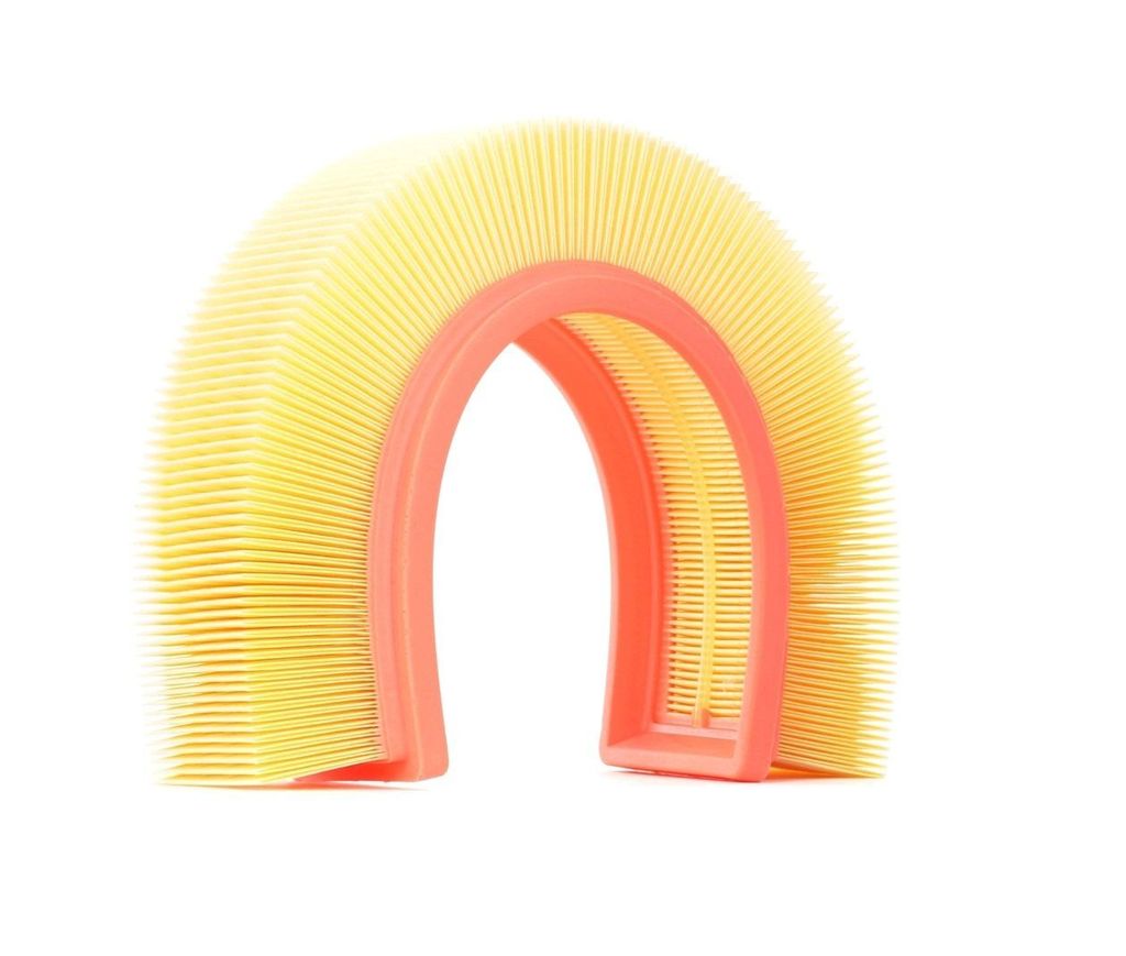 Luftfilter RIDEX 8A0173 für RENAULT Clio III Schrägheck (BR0/1, CR0/1) Filtereinsatz Umluftfilter Rechteckig