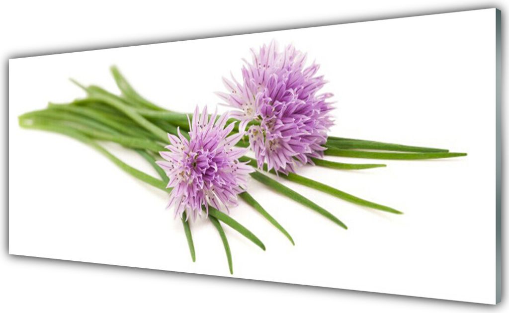 Acrylglasbilder 125x50 Wandbild Druck Blumen Pflanzen Produktbild 