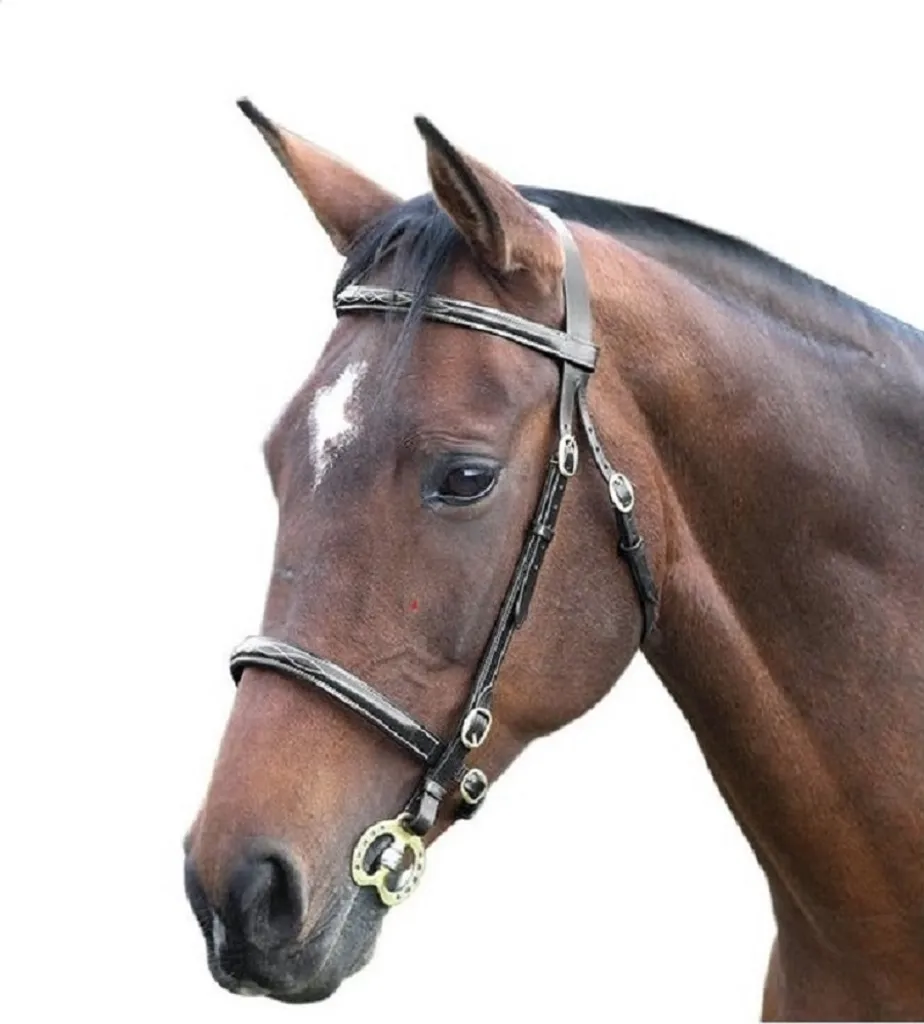 Bridon cuir noir ER250 Blenheim surpiqûres Fancy Stitch taille Cob