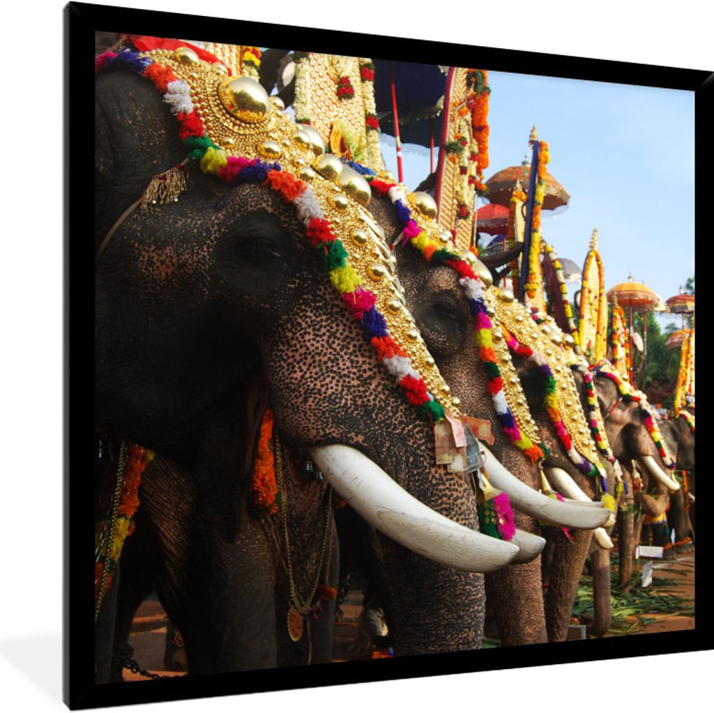MuchoWow Gerahmtes Poster Elefantenparade 40x40 cm - Poster mit Schwarzem Bilderrahmen Wandposter Rahmen Foto Bilder - Mit Rahmen - Wanddekoratio...