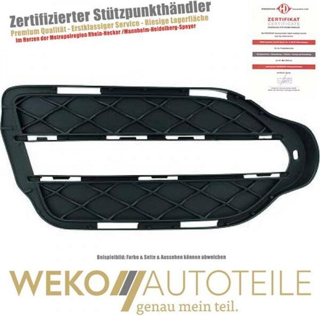 Lüftungsgitter Stoßstange links DIEDERICHS 1655165 für MERCEDES-BENZ