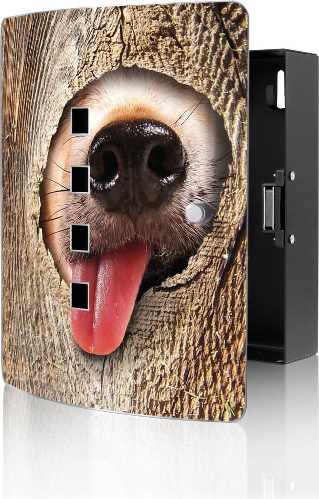 banjado Design Schlüsselkasten aus Edelstahl für 10 Schlüssel, Schlüsselschrank 24 x 21,5 x 7cm groß mit Magnetverschluss, Rumschnüffeln [BWS...