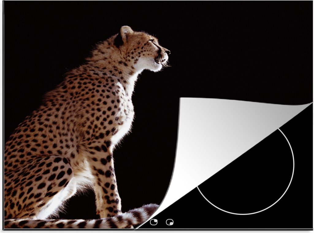 KitchenYeah Herdabdeckplatte Gepard - Tiere - Licht , 60x52cm, Küche Deko, Glaskeramikfeld Herdabdeckung, Abdeckplatte fùr Kochfeld