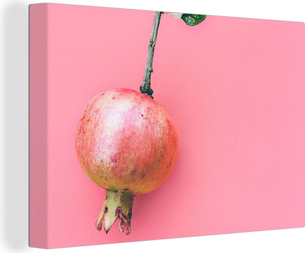 OneMillionCanvasses - Leinwandbilder - 150x100 cm, Pflanzen - Sommer - Rosa, Wandbilder Kunstdruck Wanddekoration - Foto auf Leinwand - Gemälde ...