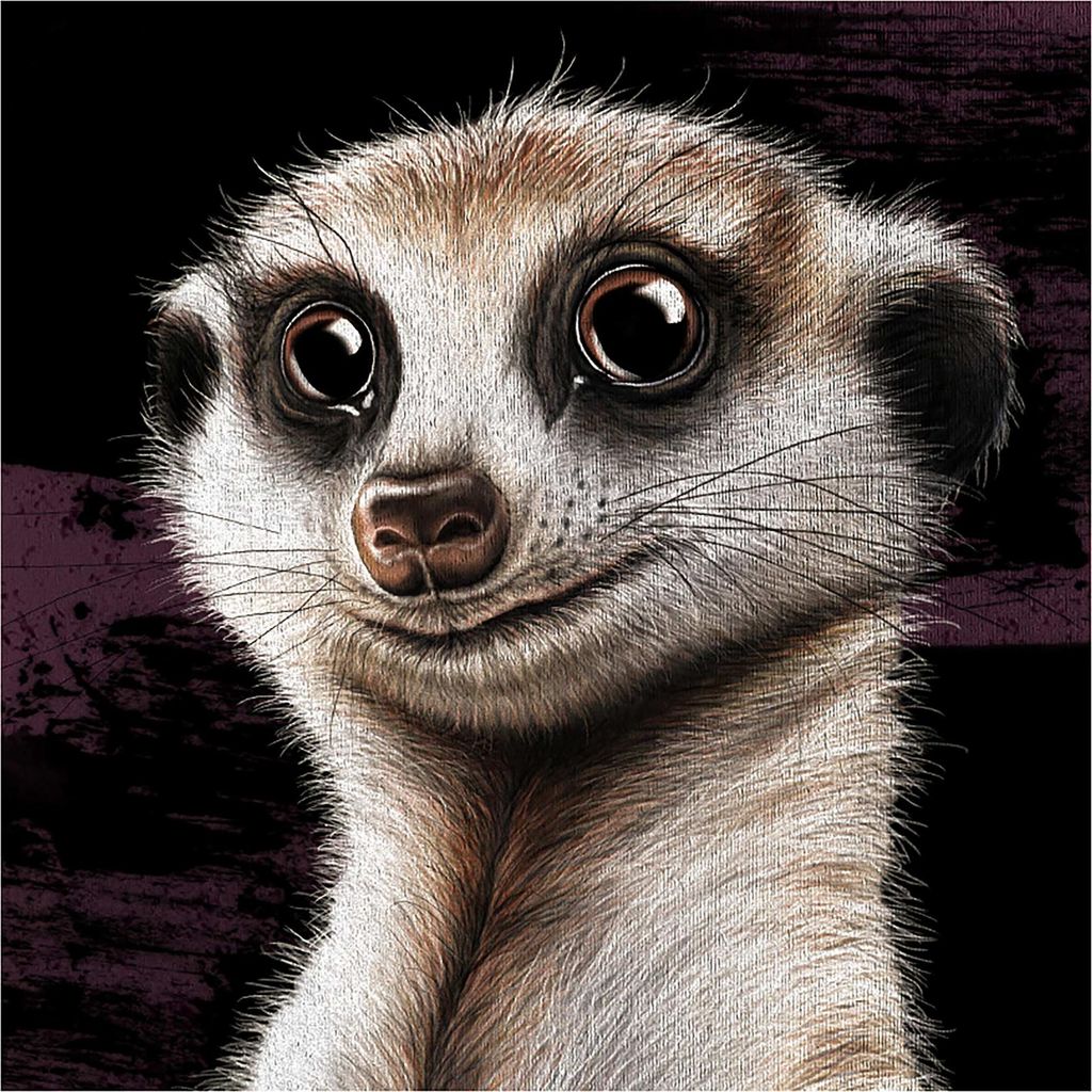 French Terry Stoffpanel Stay Curious by Torsten Berger Erdmännchen Paneele