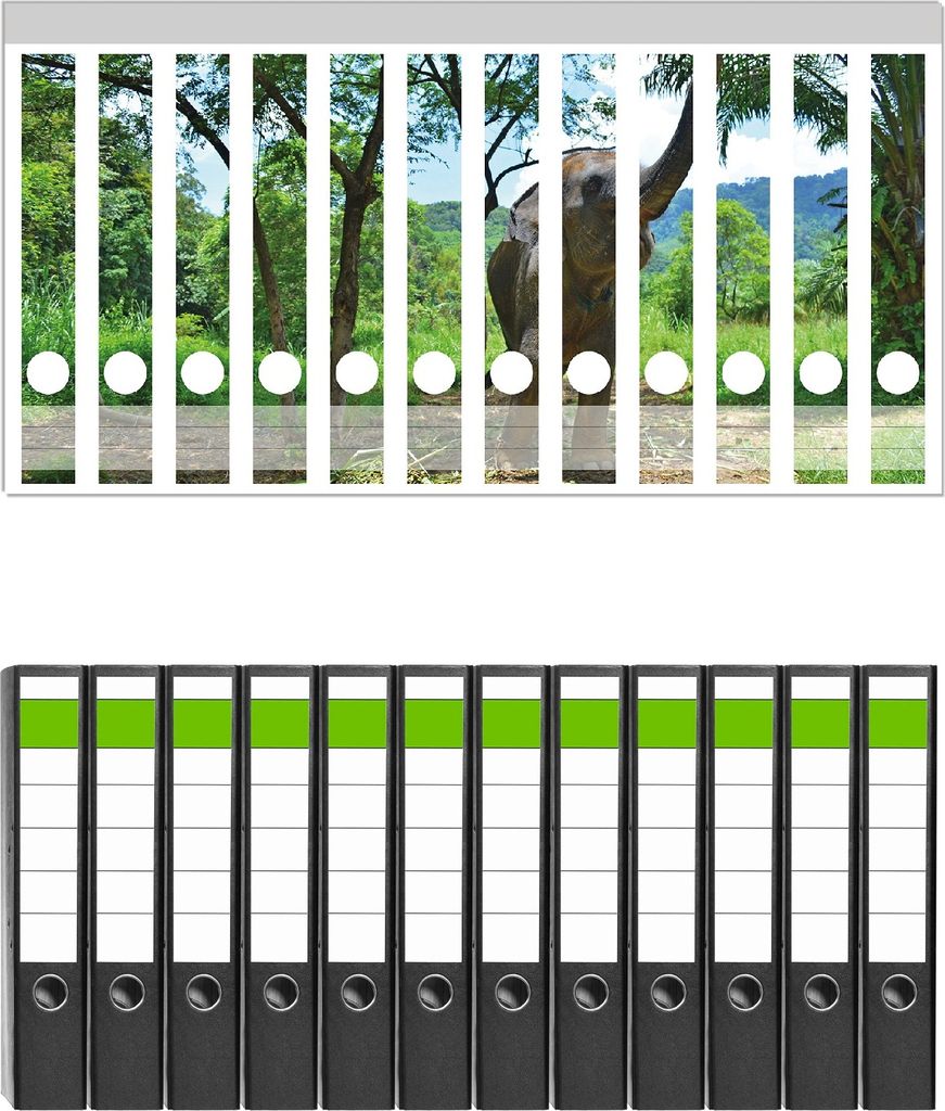 Wallario 12 Stück schmale Ordner inkl. Klebeetiketten mit Motive Junger Elefant im Dschungel - Set mit Rückenschildern / Ordnerrücken Stickern