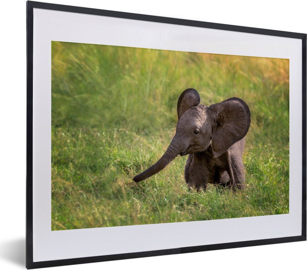MuchoWow MuchoWow Gerahmtes Poster Elefant - Baby - Kalb 40x30 cm - Poster mit zchwarzem Bilderrahmen - Bilderrahmen - Poster im Rahmen