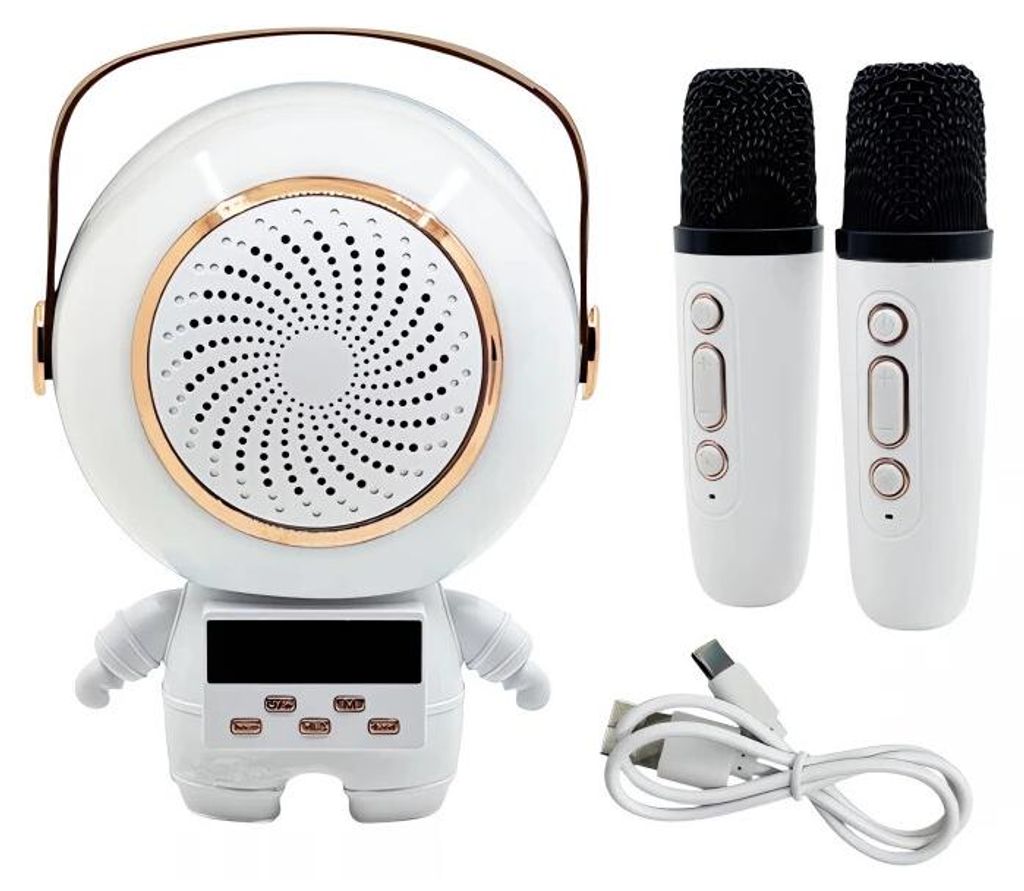 Verk 27312 Enceinte karaoké Bluetooth 5 W, 2x microphone Image du produit 