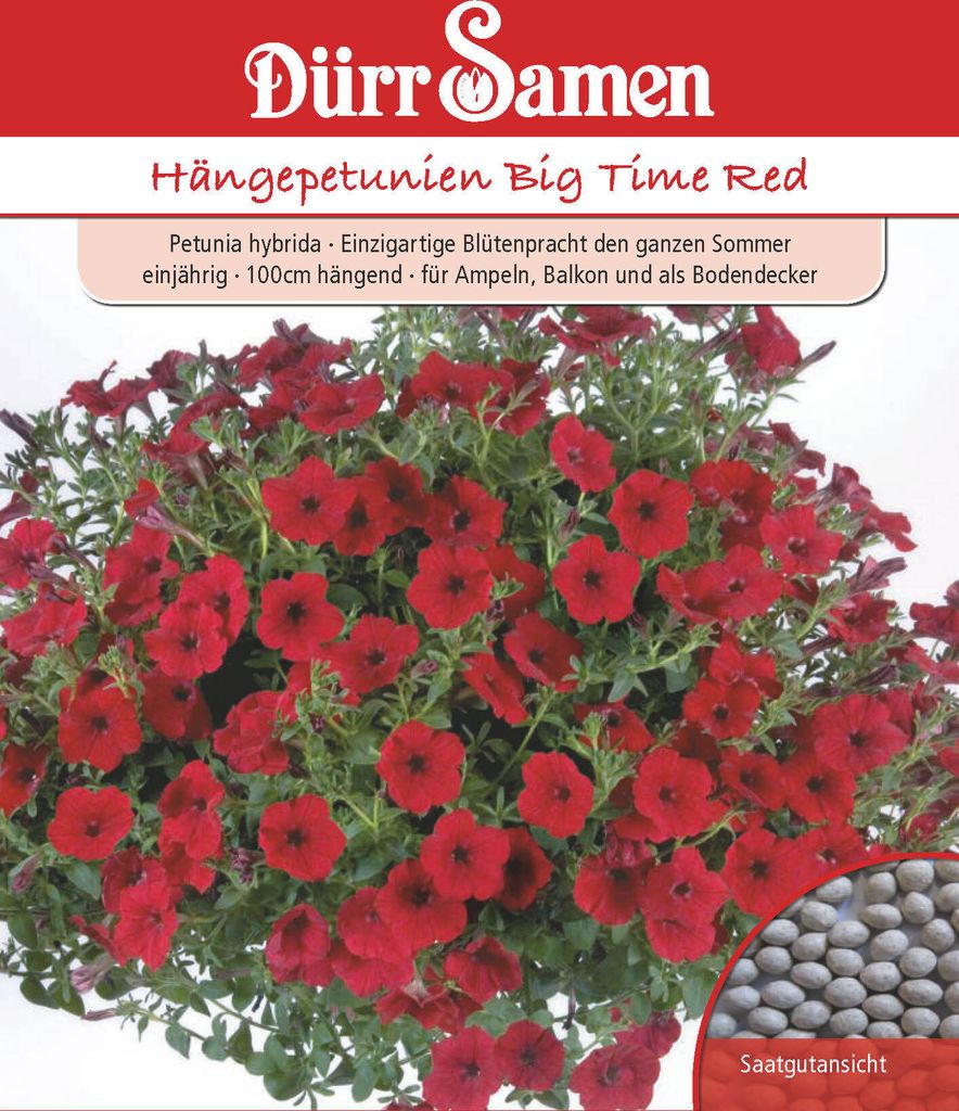 Dürr-Samen - Petunien Big Time Red einjährig 100 cm - Produktbild 1