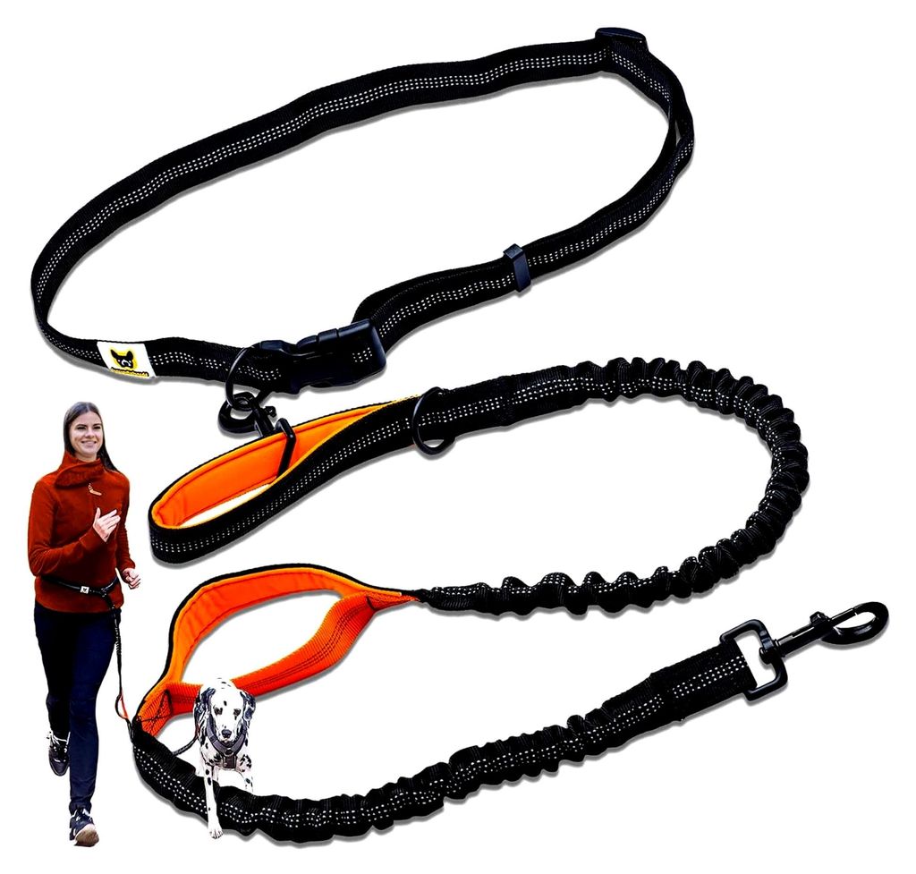 Joggingleine für große Hunde ab 15 kg | Elastische Freihandleine mit leichtem Bauchgurt | Abnehmbare Hundeleine mit 2 weichen Schlaufen | Orange ...