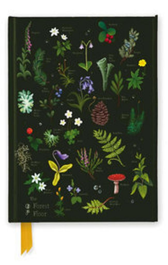 Anna Stead: The Forest Floor (Foiled Journal)