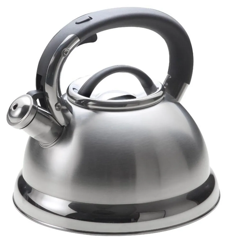 Bouilloire de grande capacité 2,8 L idéale pour thé et café en famille