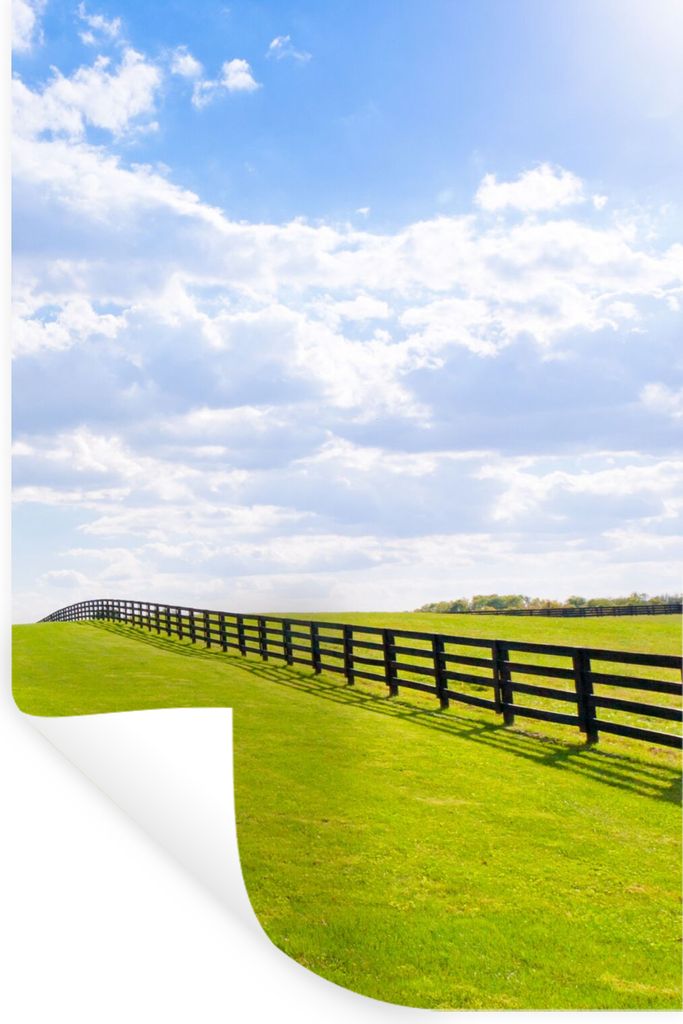 MuchoWow Wandtattoo Wandsticker Wandaufkleber Wolken - Bäume - Straße 80x120 cm Selbstklebend und Repositionierbar - Repositionierbar - Wasser ...