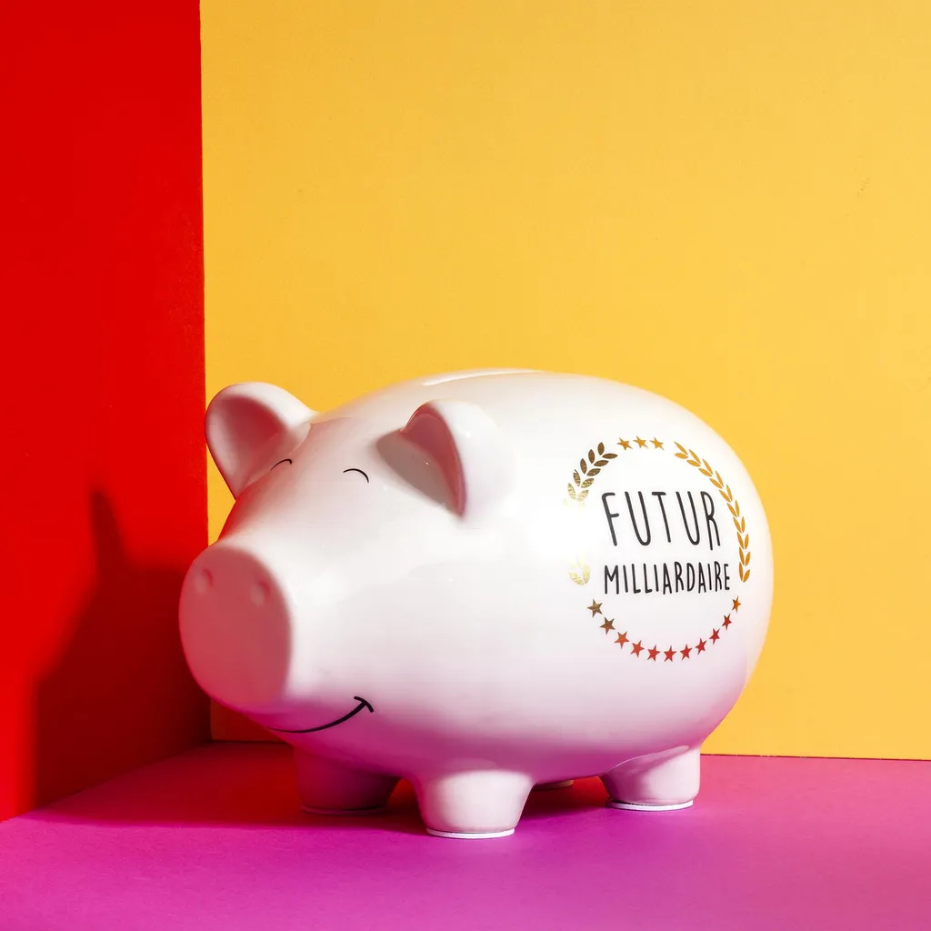 Grande Tirelire Cochon XXL Décorative en Porcelaine Idée Cadeau Enfant