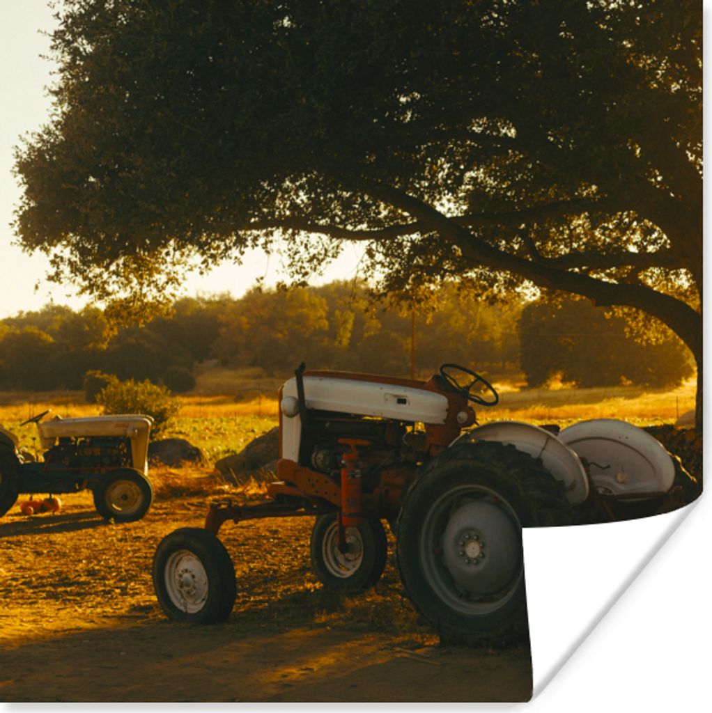 MuchoWow Poster Traktor - Sonne - Baum - Landschaft 75x75 cm - Wand Dekoration