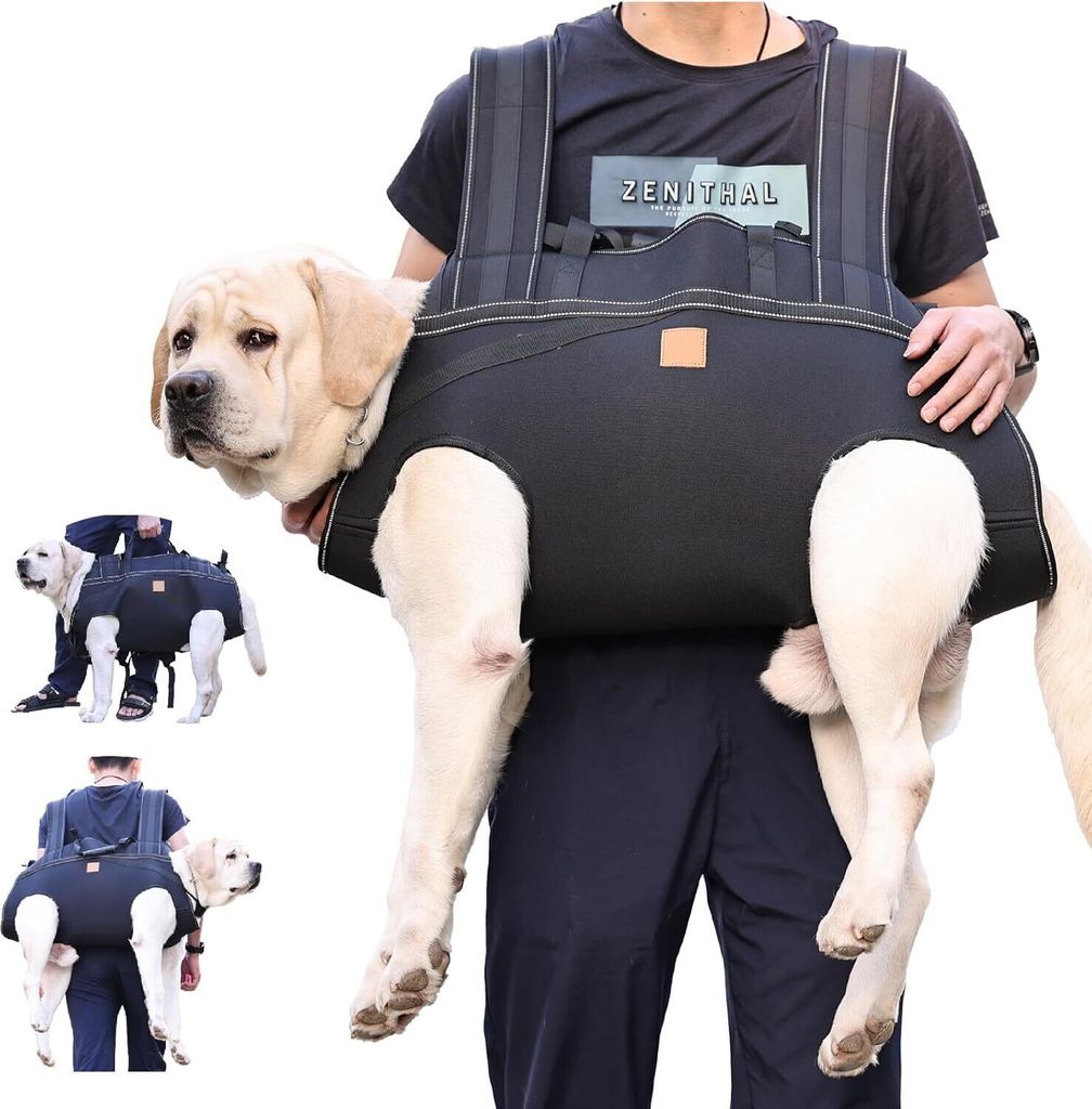 Hundegeschirr-Rucksack für große Hunde, Produktbild 