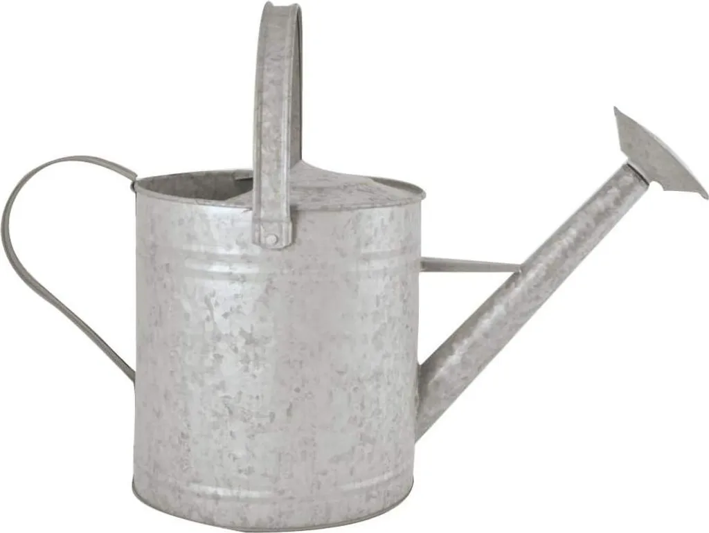Pot en zinc 35L robuste : fini les bacs cassés pour vos fruits et déco