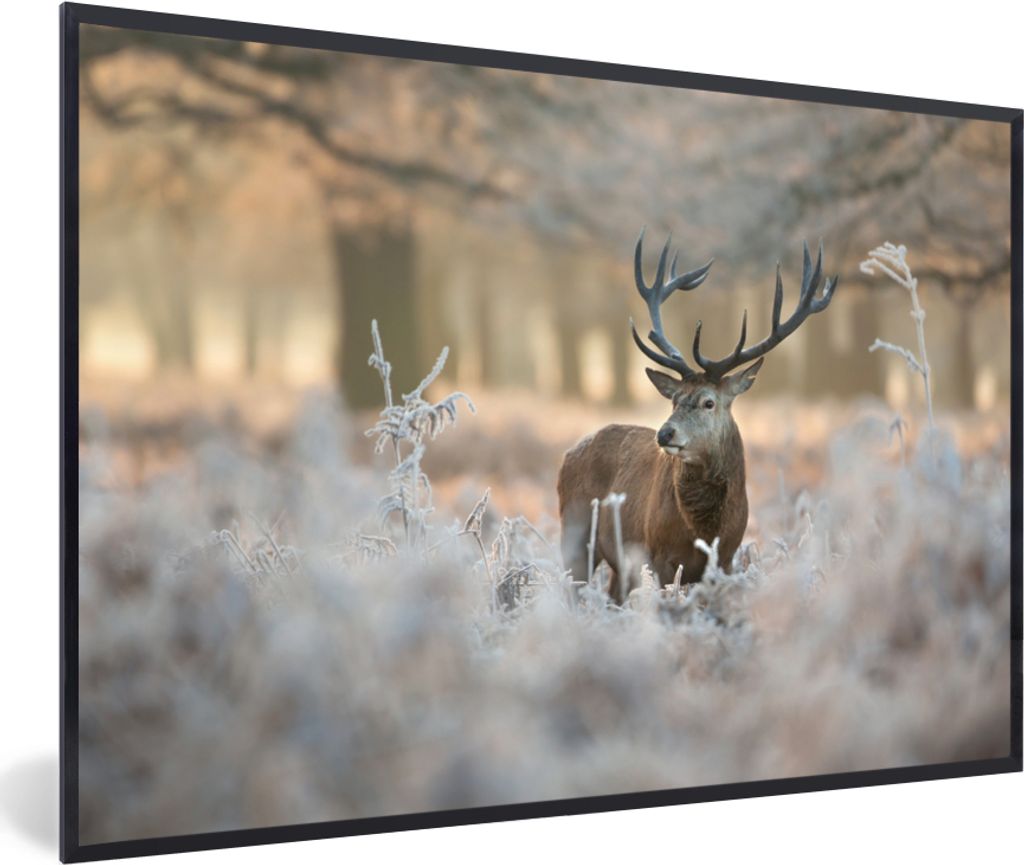 MuchoWow MuchoWow Gerahmtes Poster Hirsche - Tiere - Winter 30x20 cm - Poster mit zchwarzem Bilderrahmen - Kunstdruck - Bild-Poster