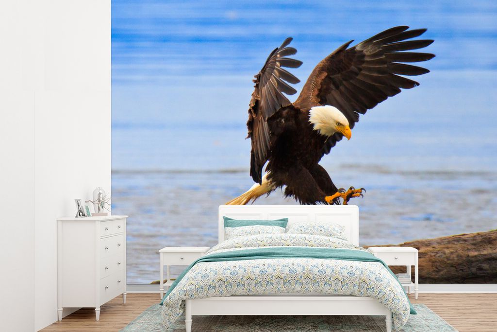 MuchoWow Fototapete für Wohnzimmer oder Schlafzimmer Wandtapete Vinyl Motivtapete Weißkopfseeadler vor Alaska - 360x260 cm - Wohnzimmer tapete