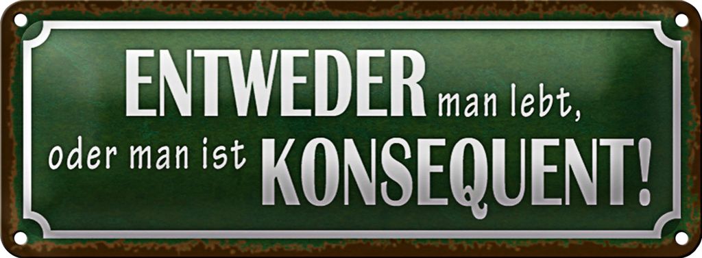 Blechschild Spruch 27x10cm entweder man lebt oder Dekoration