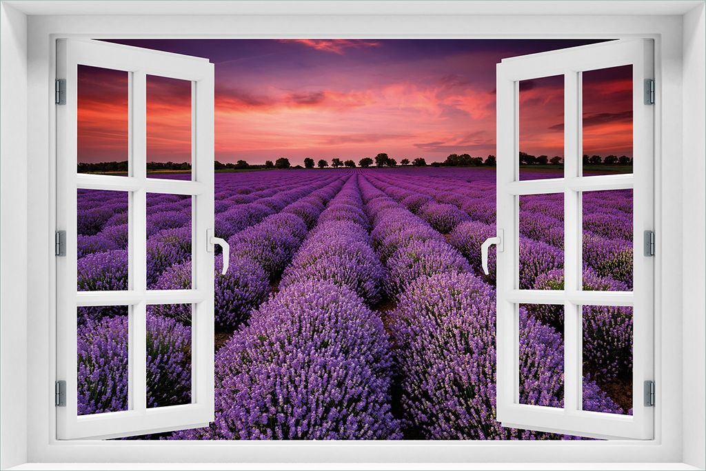 Wallario Poster mit Fenster-Illusion: Lavendelfeld unter rotem Himmel, Größe: 61 x 91,5 cm (Maxiposter)
