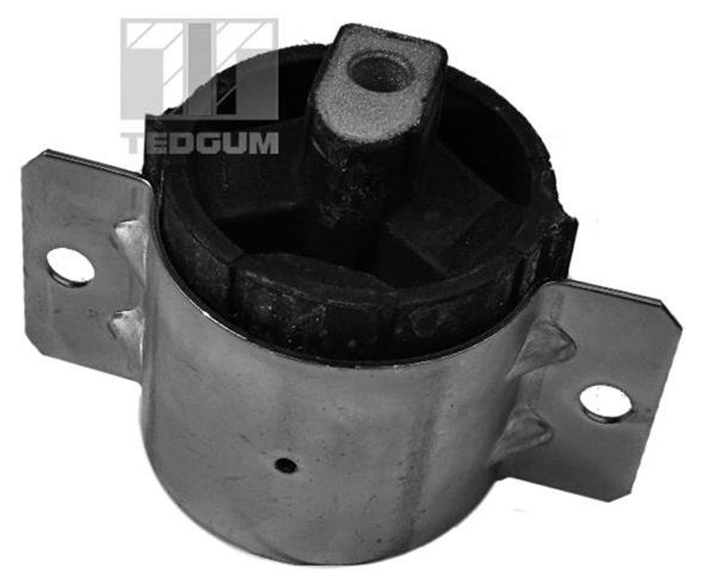 Tedgum 00726345 Getriebehalterung (Hinten) Vw Lt